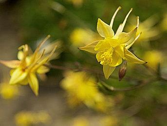 《时空勇士》HD-2D重制版4月27日登陆PS4＆PS5＆Steam平台